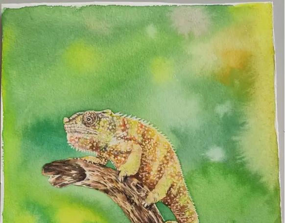 ¿Cuál es la diferencia entre la pintura Gouache, la pintura al óleo, la pintura acrílica y la pintura de acuarela?